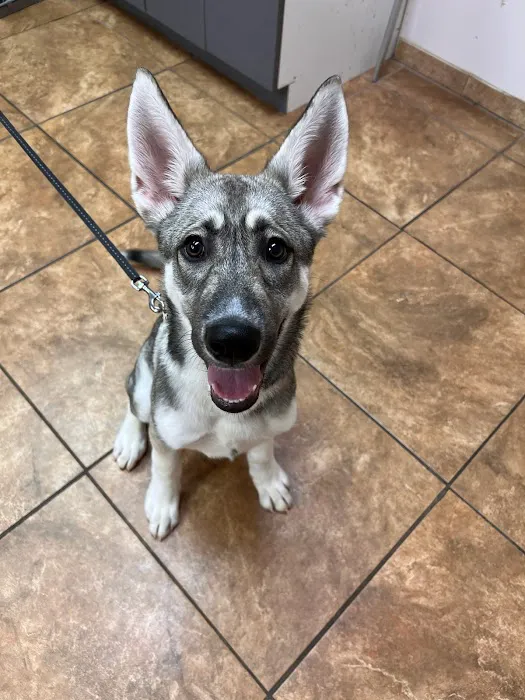 Waterford Animal Clinic 9