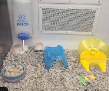 Petco