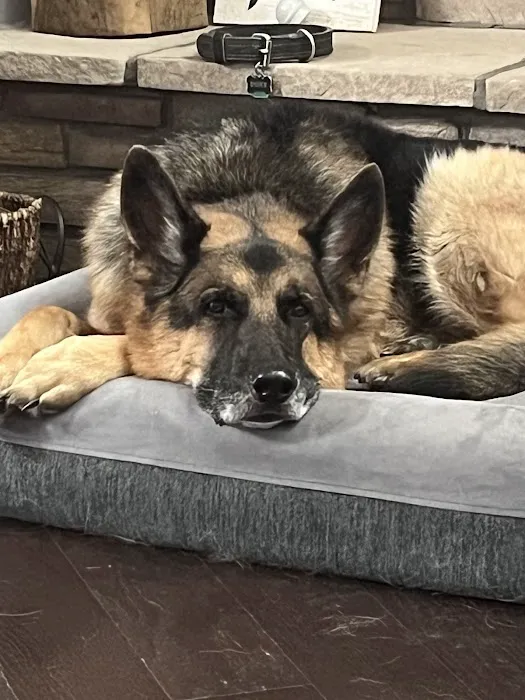 Ore Creek Veterinary Clinic 8