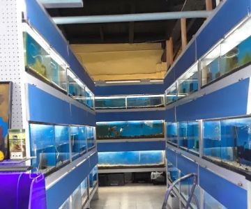 Fumi's Tropical Fish & Pets