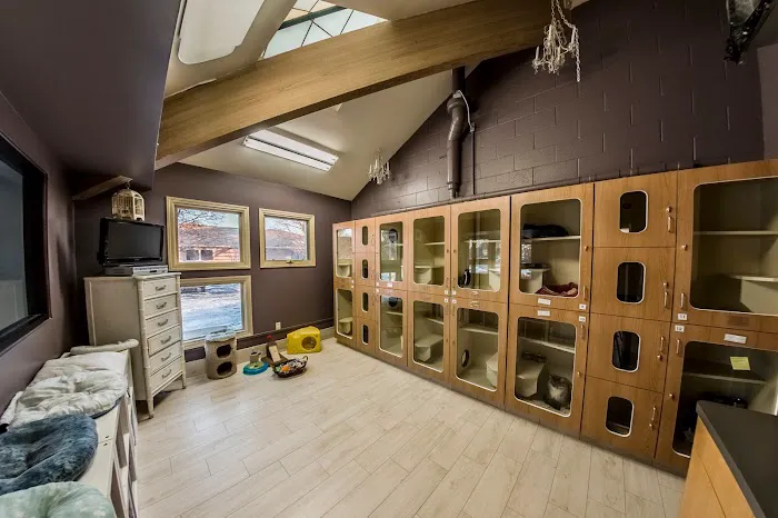 Lake Lansing Road Animal Clinic & Pet Resort 1