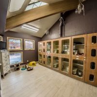 Lake Lansing Road Animal Clinic & Pet Resort ico