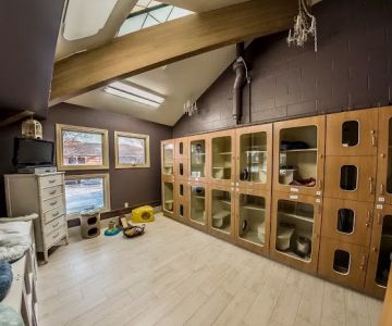 Lake Lansing Road Animal Clinic & Pet Resort