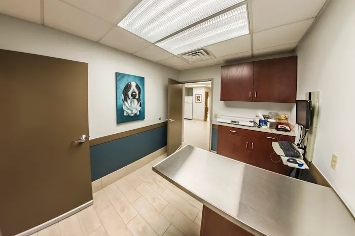 Lake Lansing Road Animal Clinic & Pet Resort 9