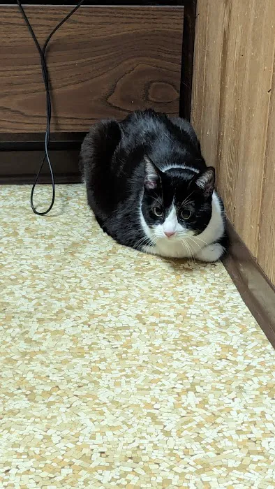 Windsor Animal Clinic: Cripps Jeff L DVM 12