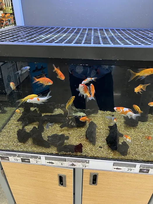 Petco 12