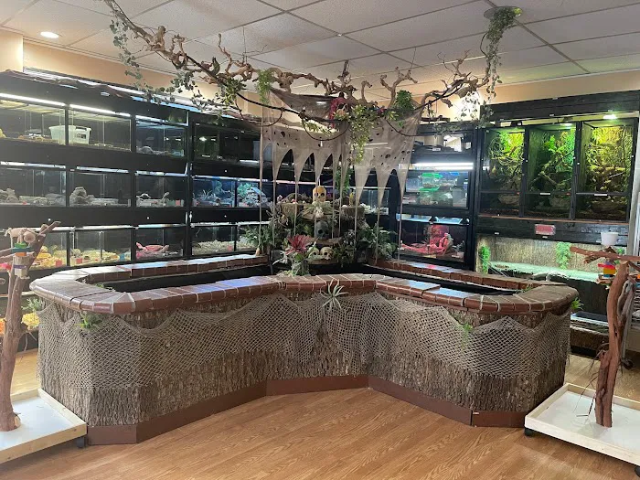 Agustin's Exotic Birds and Reptiles 12