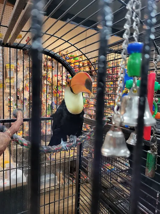 Agustin's Exotic Birds and Reptiles 12