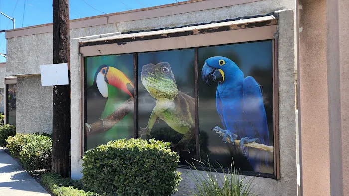 Agustin's Exotic Birds and Reptiles 12