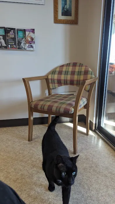Ailurophile Cat Clinic 1