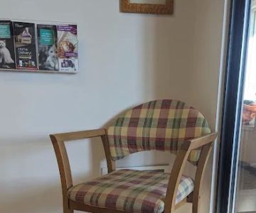 Ailurophile Cat Clinic
