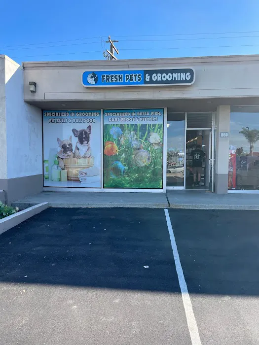 Fresh pets and grooming 12
