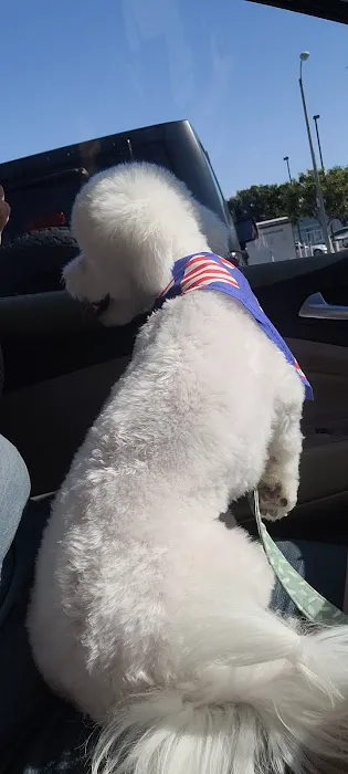 Fresh pets and grooming 12