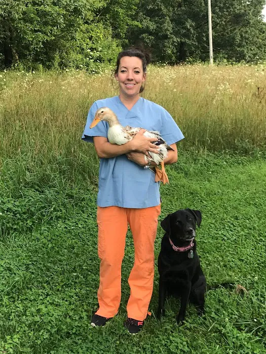 East Lansing Veterinary Clinic 6