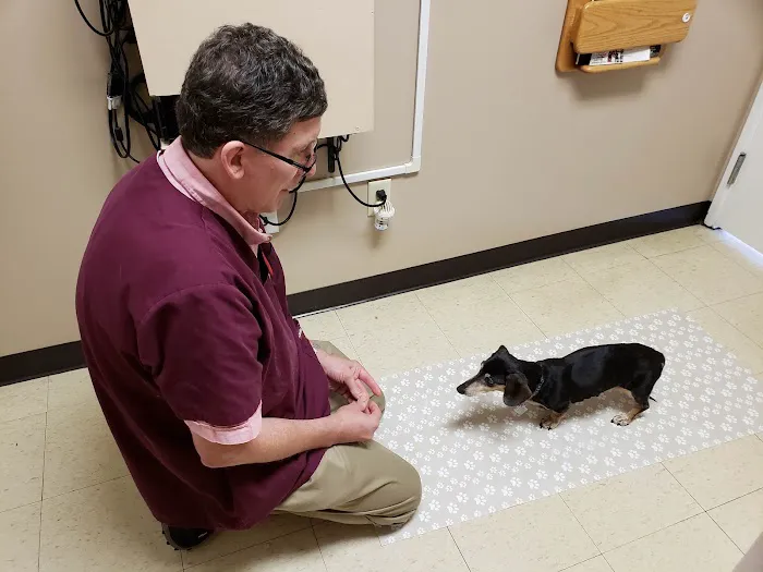 East Lansing Veterinary Clinic 3