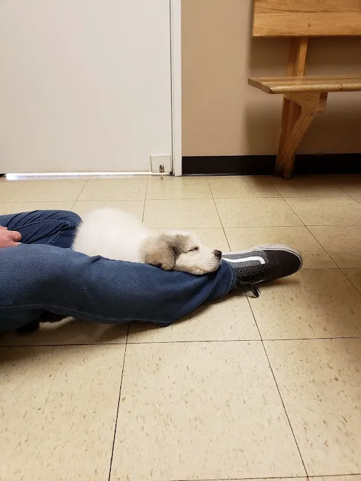 East Lansing Veterinary Clinic 10