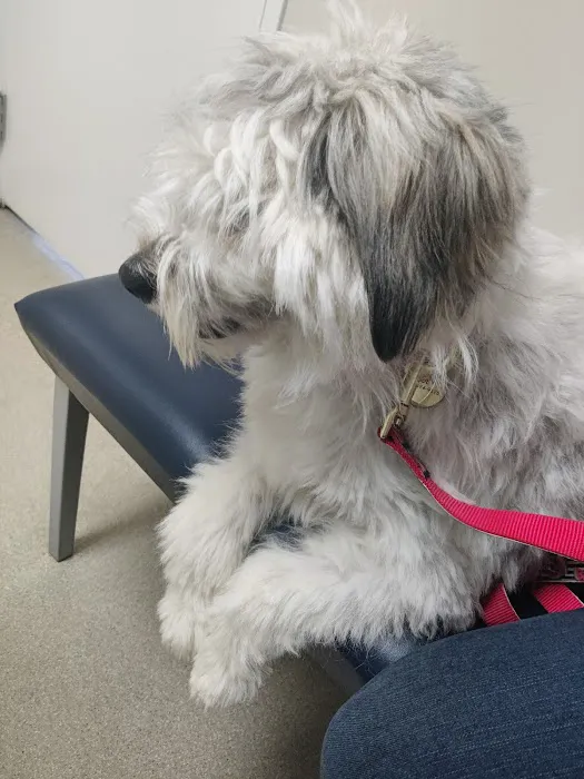 East Lansing Veterinary Clinic 1