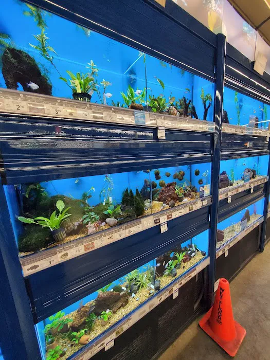 Petco 12