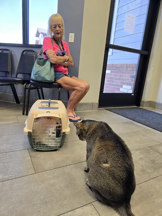 Imperial Animal Hospital Pet Lodge and Grooming 7