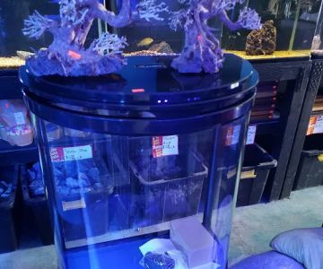 Tropical Reef Fish Store