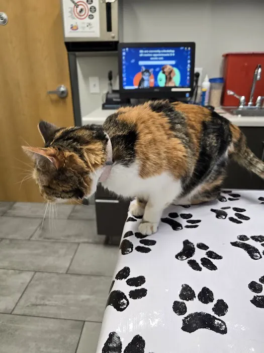 Imperial Animal Hospital, LLC 12