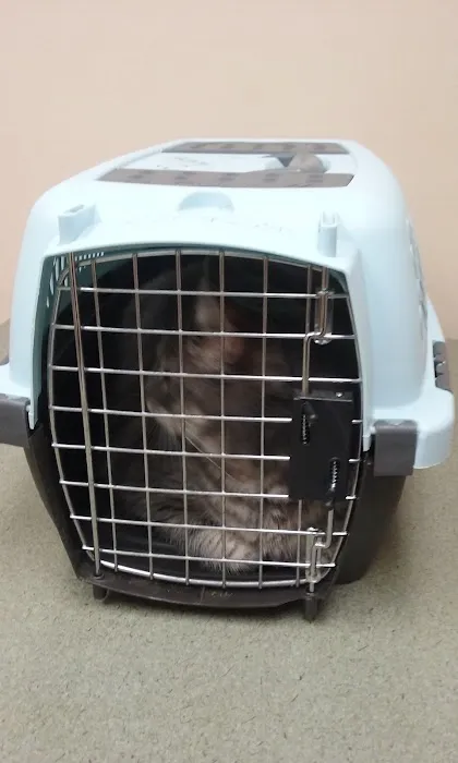 Bellson Animal Hospital 12