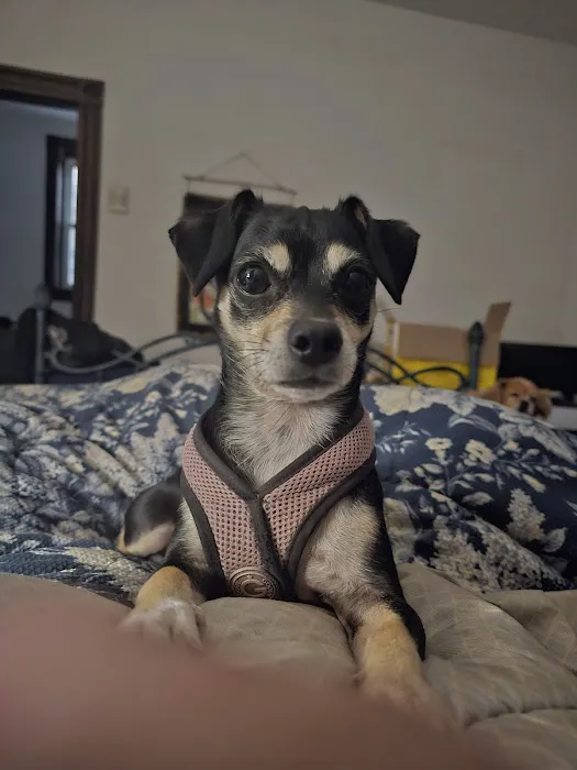 Banfield Pet Hospital 12