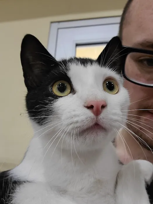 East York Veterinary Center 12