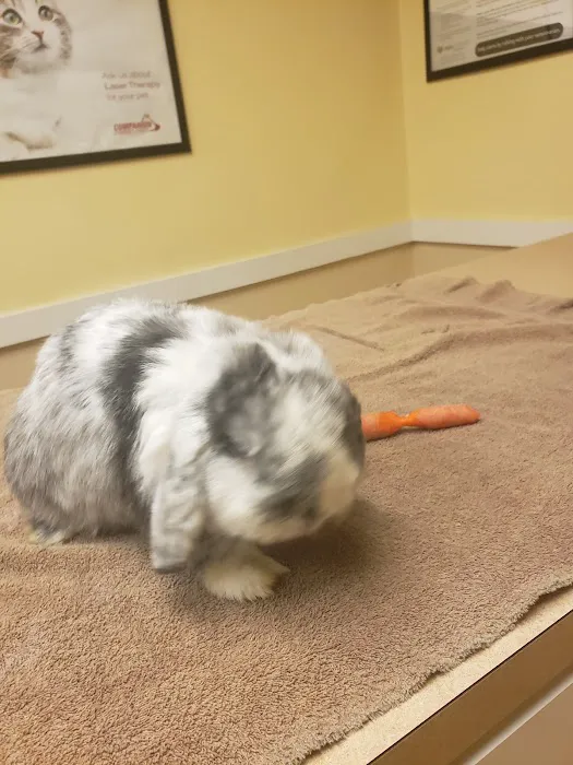 East York Veterinary Center 12
