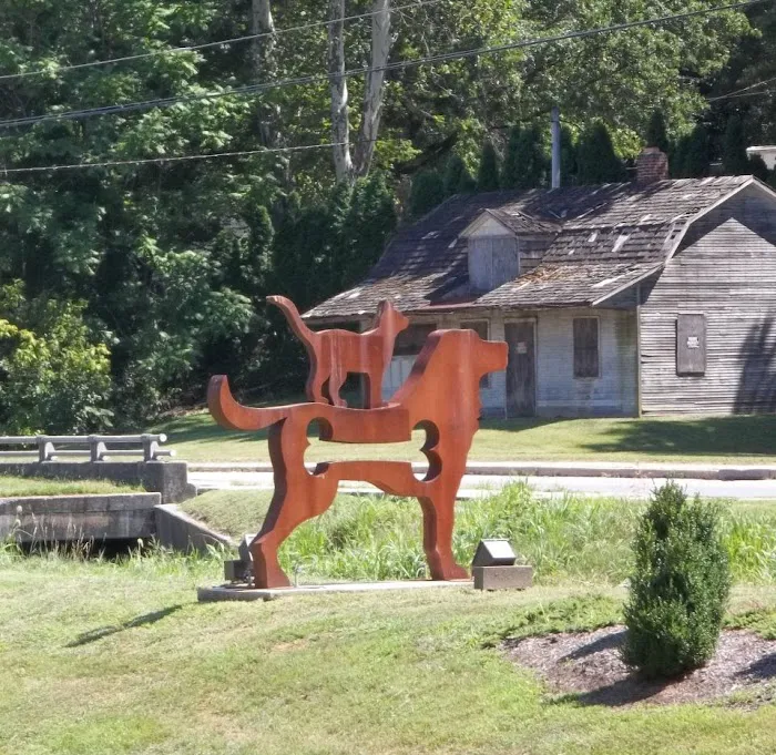 East York Veterinary Center 12