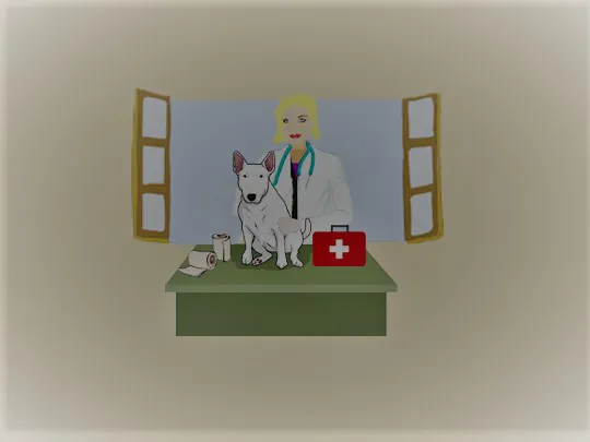 Heaven 4ur Pet Pennsylvania 12