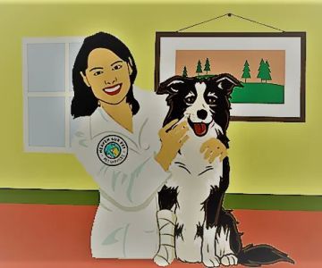 Heaven 4ur Pet Pennsylvania