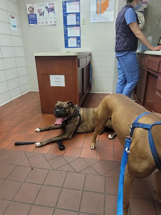Hill Street Veterinary Hospital 12
