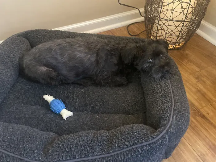 Hill Street Veterinary Hospital 12