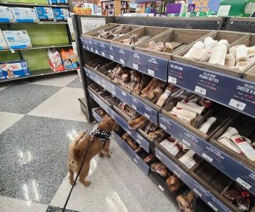Petco