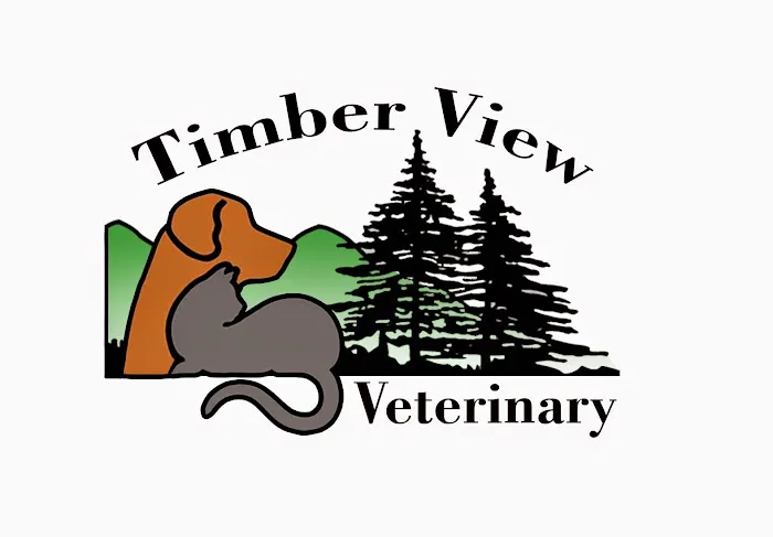 Dr Sara at Timberview Veterinary Hospital 12