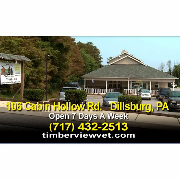 Dr Sara at Timberview Veterinary Hospital 12