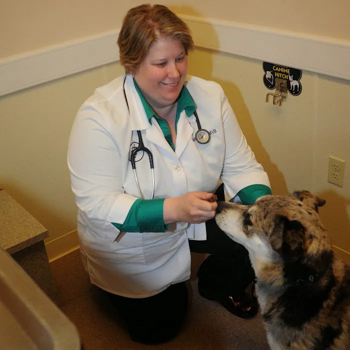 Dr Sara at Timberview Veterinary Hospital 12