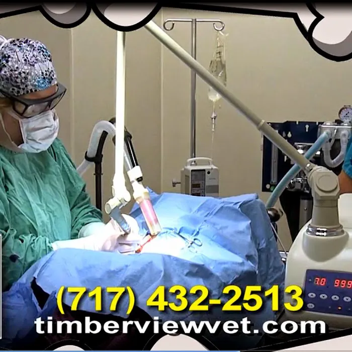 Dr Sara at Timberview Veterinary Hospital 12