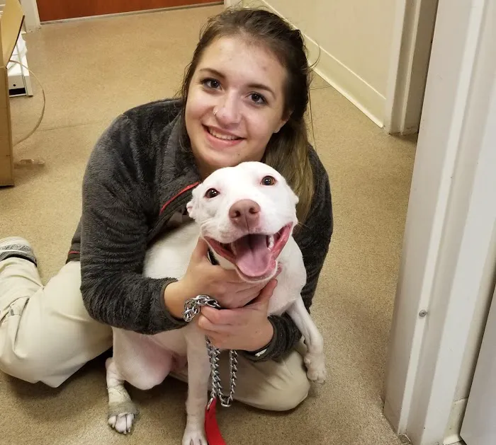 Dr Sara at Timberview Veterinary Hospital 12