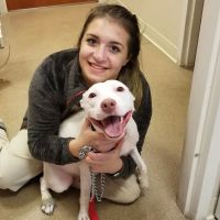 Dr Sara at Timberview Veterinary Hospital ico