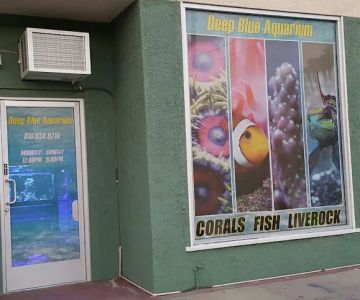 Deep Blue Aquarium