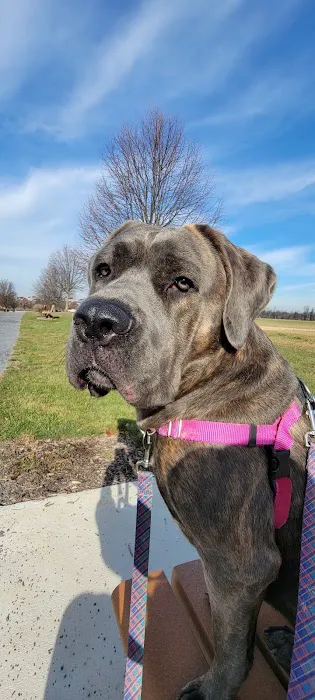 Boiling Springs Animal Hospital: Kathy Purcell, DVM 12