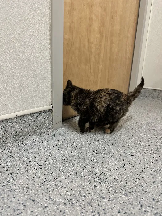 Boiling Springs Animal Hospital 12