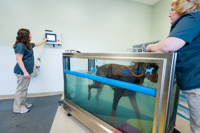 Companion Animal hospital 12