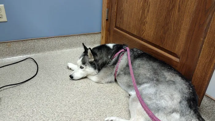 Donegal Animal Hospital 12