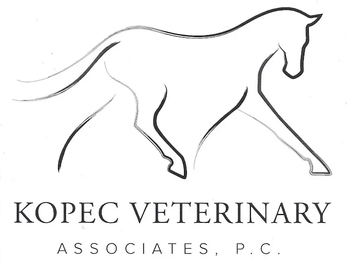 Kopec Veterinary Associates, P.C. 12