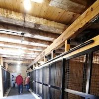 Kopec Veterinary Associates, P.C. ico