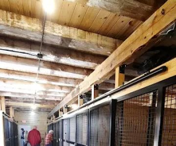 Kopec Veterinary Associates, P.C.