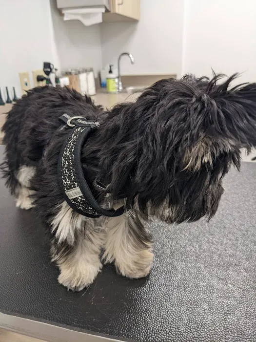 Covenant Veterinary Care 12